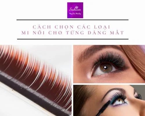 Sản phẩm cach chon cac loai mi noi cho tung dang mat 500x400 — Lông Mi Suhion - Công Ty TNHH Dịch Vụ Và Đào Tạo Suhion — MST 0315052065