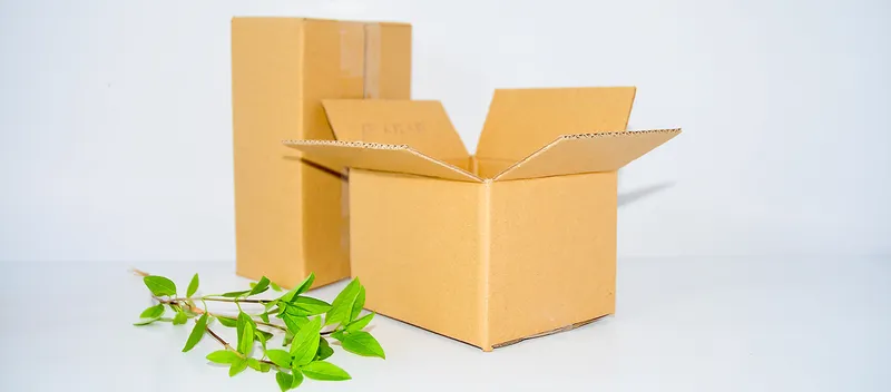 Sản phẩm thung carton paka 2 — Công Ty TNHH Bao Bì PaKa — MST 0315059705