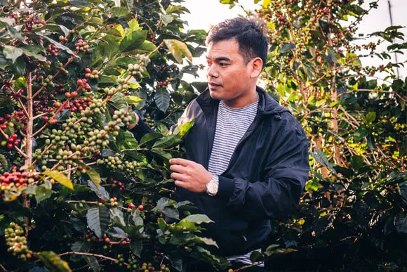 Sản phẩm img founder leo lu nguyen 1 — Công Ty TNHH Delingoo Việt Nam — MST 0315064222