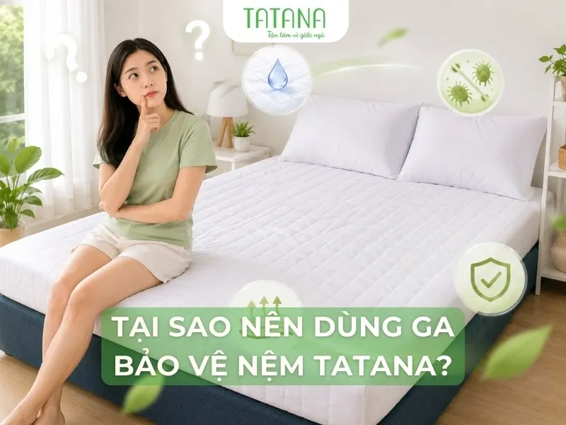 Sản phẩm tai sao nen dung drap bao ve nem tatana 1 — Công Ty CP SX TM TATANA — MST 0315072985