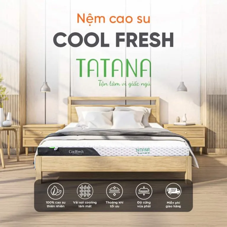 Sản phẩm nem cao su thien nhien tatana cool fresh 1 min 768x768 — Công Ty CP SX TM TATANA — MST 0315072985