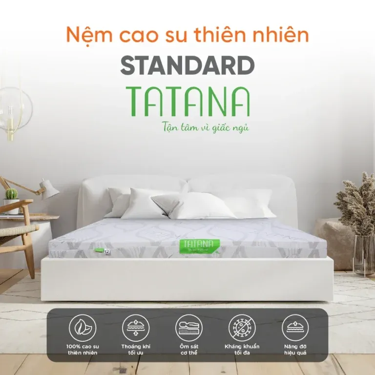 Sản phẩm nem cao su thien nhien tatana standard 9 768x768 — Công Ty CP SX TM TATANA — MST 0315072985