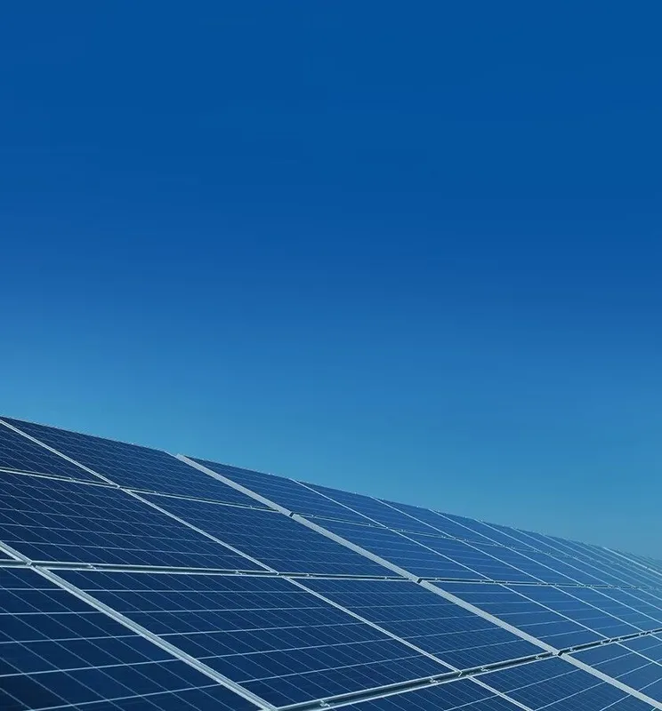 Sản phẩm gclo0aimg1 — Công Ty TNHH Vườn Xanh Tốt — MST 0315075714