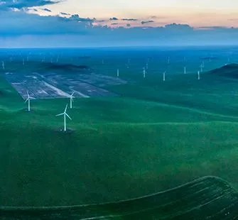 Sản phẩm indeximg8 — Công Ty TNHH Vườn Xanh Tốt — MST 0315075714