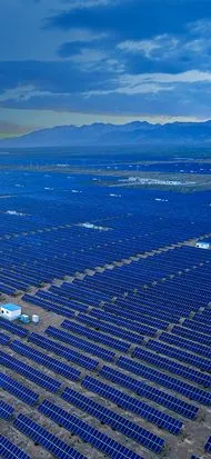 Sản phẩm servicea1 — Công Ty TNHH Vườn Xanh Tốt — MST 0315075714