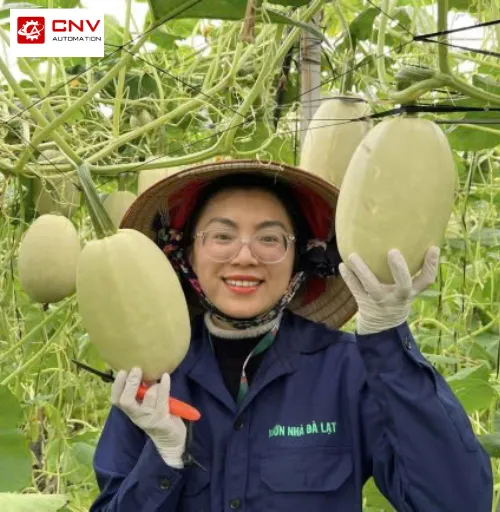 Sản phẩm khach hang vuon nha da lat 500x512 — Máy Đóng Gói CNV - Công Ty TNHH Kỹ Thuật Và Tự Động Hóa CNV — MST 0315080256