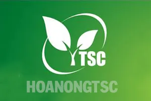 Sản phẩm THUYSY — Công Ty TNHH Bao Bì Mạnh Hùng — MST 0315090014