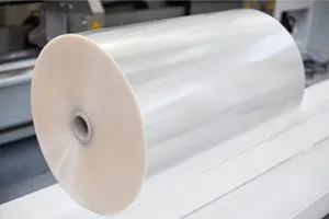 Sản phẩm mang cpp la gi 300x200 — Công Ty TNHH Bao Bì Mạnh Hùng — MST 0315090014