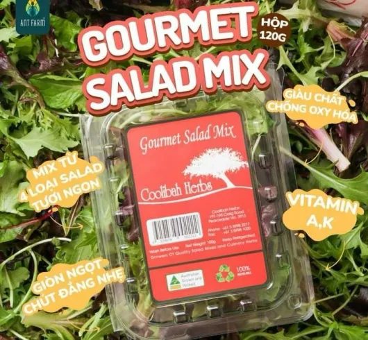 Sản phẩm hop salad jb145 5619 — Công Ty TNHH Thương Mại Dịch Vụ Hana Group — MST 0315093625