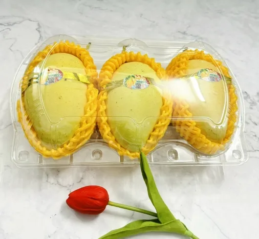 Sản phẩm z5998196041613e451a9e3b908c0f01306034dace0eeb9 8996 — Công Ty TNHH Thương Mại Dịch Vụ Hana Group — MST 0315093625