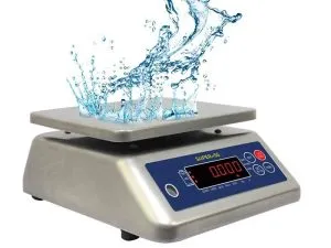 Sản phẩm can thuy san 01 300x225 — Cân Trường Phú - Công Ty TNHH Kỹ Thuật Trường Phú — MST 0315102100