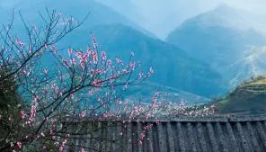 Sản phẩm 01. sapa — Công Ty TNHH Du Lịch Và Di Trú AHU — MST 0315116872