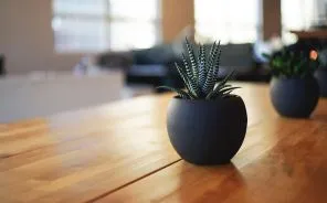 Sản phẩm stock photo 227435319 — Công Ty TNHH Du Lịch Và Di Trú AHU — MST 0315116872