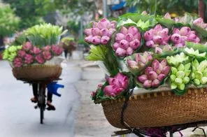 Sản phẩm 1 4 — Công Ty TNHH Du Lịch Và Di Trú AHU — MST 0315116872
