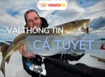 Sản phẩm gia cong xuat khau 2635 — Công Ty TNHH Thực Phẩm Nữ Hoàng Sara — MST 0315143114
