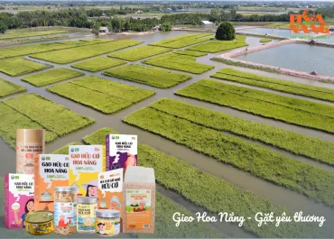 Sản phẩm Gieo Hoa Nang Gat yeu thuong 370x265 — Công Ty Cổ Phần Nông Sản Hoa Nắng — MST 0315157893