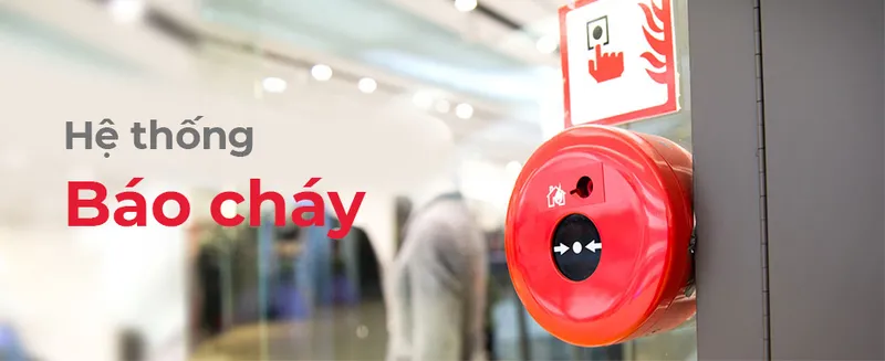 Sản phẩm slide 3 — Công Ty TNHH Thương Mại Dịch Vụ Tầm Nhìn Tân Tiến — MST 0315160511