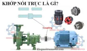 Sản phẩm khop noi truc la gi 300x178 — Công Ty TNHH Đầu Tư Thương Mại Kỹ Thuật Minh Quân — MST 0315167820