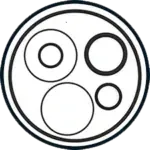 Sản phẩm 7. SEAL PHOT ORING 150x150 — Công Ty TNHH Đầu Tư Thương Mại Kỹ Thuật Minh Quân — MST 0315167820