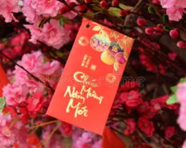 Sản phẩm 610fa89208ebf — Công Ty TNHH Đầu Tư Sản Xuất Kinh Doanh Bảo An — MST 0315169698
