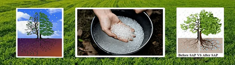 Sản phẩm cd1e906d5972ba2ce363 min — Natra Global - Bột SAP (Super Asorbent Polymer) — MST 0315176913