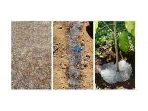 Sản phẩm 536_result 300x225 — Natra Global - Bột SAP (Super Asorbent Polymer) — MST 0315176913