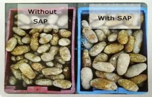 Sản phẩm Anh 2_result 300x191 — Natra Global - Bột SAP (Super Asorbent Polymer) — MST 0315176913