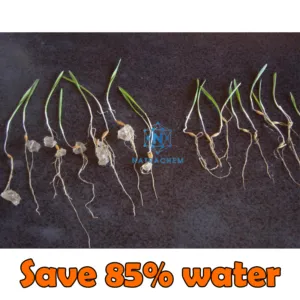 Sản phẩm Hot Sale Seed Coating SAP Polymer Potassium_result 300x300 — Natra Global - Bột SAP (Super Asorbent Polymer) — MST 0315176913