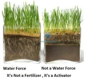 Sản phẩm agriculture super absorbent polymer 500x500_result 300x274 — Natra Global - Bột SAP (Super Asorbent Polymer) — MST 0315176913