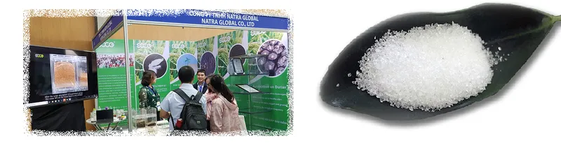 Sản phẩm Cover Slide 1 — Natra Global - Bột SAP (Super Asorbent Polymer) — MST 0315176913