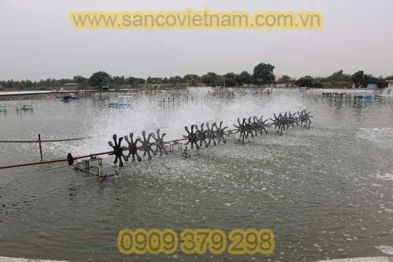 Sản phẩm XH_97991514448751 — Công Ty TNHH Sanco Viet Nam — MST 0315182201