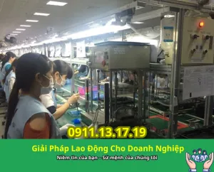 Sản phẩm cung ung lao dong binh dinh 5 300x242 — Công Ty TNHH Cung ứng Nguồn Nhân Lực Hoàng Gia — MST 0315188517