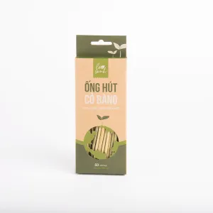 Sản phẩm hop 50 ong hut co bang grass straw 4 300x300 — Công Ty TNHH Phát Triển Hội An — MST 0315195507