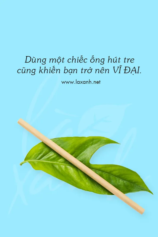 Sản phẩm dung mot — Công Ty TNHH Phát Triển Hội An — MST 0315195507