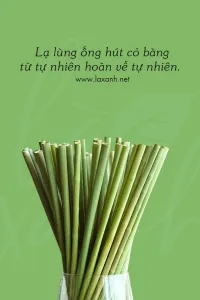 Sản phẩm la lung 200x300 — Công Ty TNHH Phát Triển Hội An — MST 0315195507