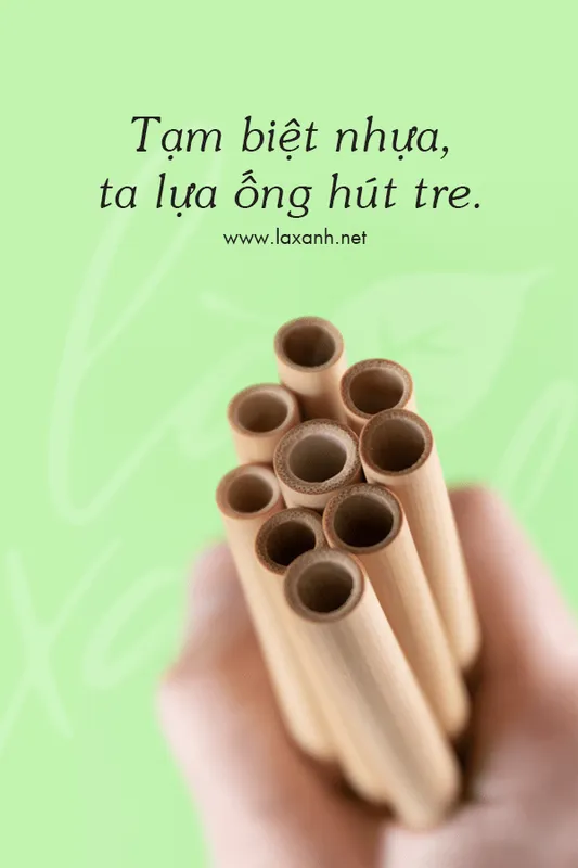 Sản phẩm tam biet nhua — Công Ty TNHH Phát Triển Hội An — MST 0315195507