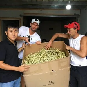 Sản phẩm v1 300x300 — Công Ty TNHH Phát Triển Hội An — MST 0315195507