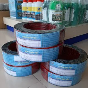 Sản phẩm cc02a5bb77698937d078 300x300 — Công Ty CP XNK Vùng Đất Yến — MST 0315202793