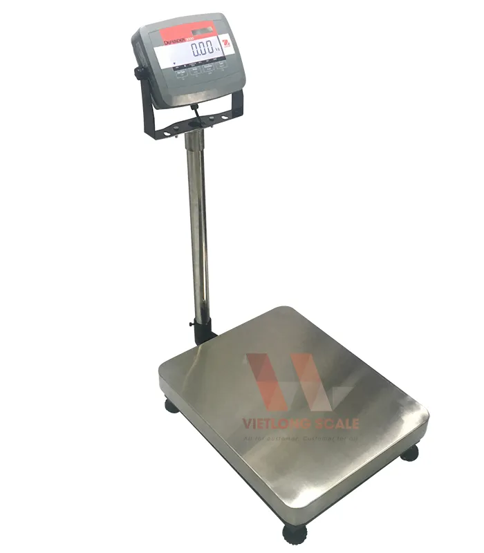 Sản phẩm can ban t31p viet long 1 — Công Ty TNHH SX TM DV Cân Điện Tử Việt Long — MST 0315208724