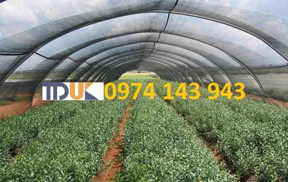 Sản phẩm mreže za zasjenjivanje 001_thumbnail — Công Ty TNHH MTV TM DV Thiên Đức — MST 0315220224