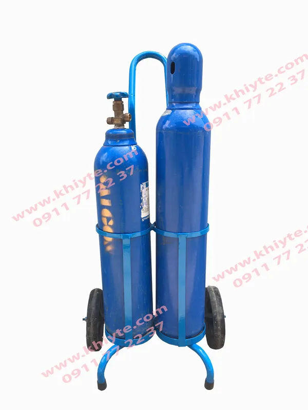 Sản phẩm 5 — Công Ty TNHH Sài Gòn Air Gas Liquid — MST 0315231762