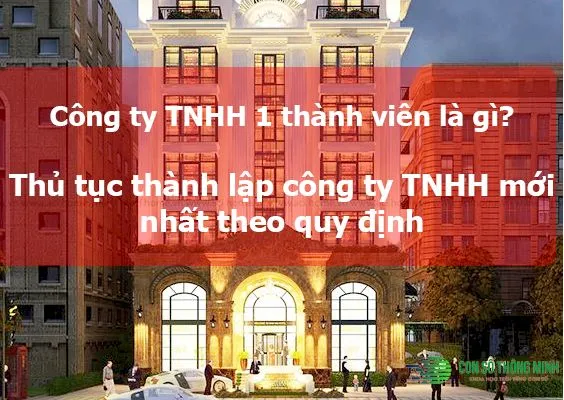 Văn phòng Công Ty TNHH Con Số Thông Minh #1 — MST 0315247829