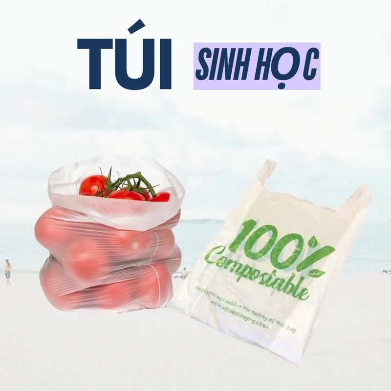Sản phẩm Tui — ống Hút Giấy Biogreen - Công Ty TNHH Biogreen — MST 0315253276