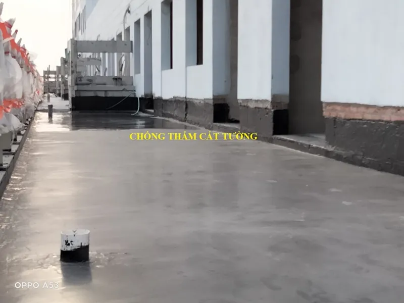 Sản phẩm chong tham ct 3 — Công Ty TNHH Chống Thấm Cát Tường — MST 0315282319