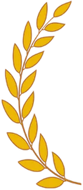 Sản phẩm leave_left — Công Ty TNHH Onbit Việt Nam — MST 0315283217