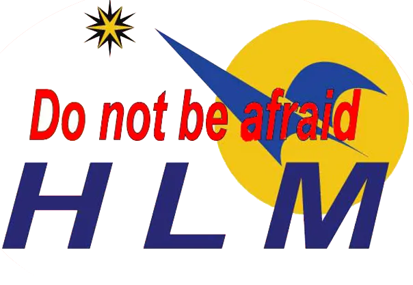 Logo Công Ty TNHH Sản Xuất Thương Mại Dịch Vụ Hoàng Liêm Minh