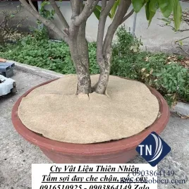 Sản phẩm tam soi day che chau goc cay10210 — Công Ty TNHH Vật Liệu Thiên Nhiên — MST 0315290020