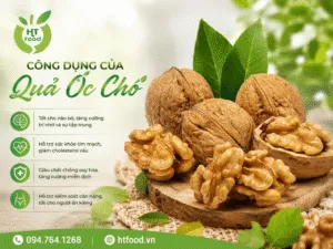 Sản phẩm Nhung cong dung cua qua oc cho 300x225 — Công Ty TNHH XNK HTFood Việt Nam — MST 0315298284