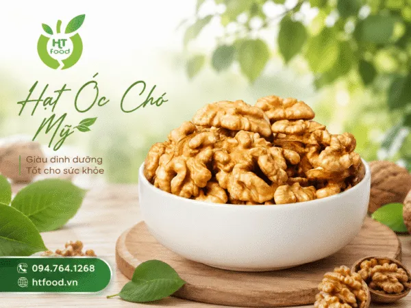 Sản phẩm Nhung tac dung cua hat oc cho la gi 600x450 — Công Ty TNHH XNK HTFood Việt Nam — MST 0315298284