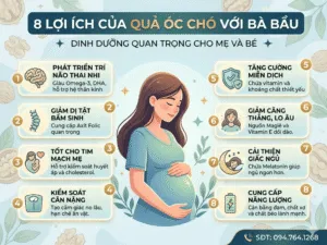 Sản phẩm Vi sao ba bau nen an hat oc cho 300x225 — Công Ty TNHH XNK HTFood Việt Nam — MST 0315298284